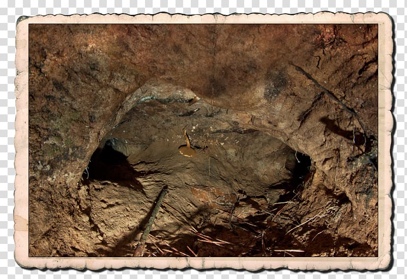 European badger Rue du Complexe Scientifique Animal Subterranea Clay, Fortoresse transparent background PNG clipart