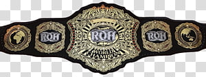 World Heavyweight Championship ROH World Tag Team Championship ROH World Six-Man Tag Team Championship ROH World Championship Professional wrestling championship, sheamus transparent background PNG clipart thumbnail