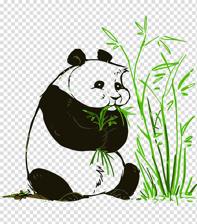 Giant panda Red panda Bear Illustration, Panda transparent background PNG clipart