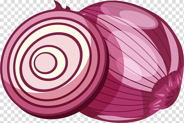Red onion Euclidean , Onion material transparent background PNG clipart