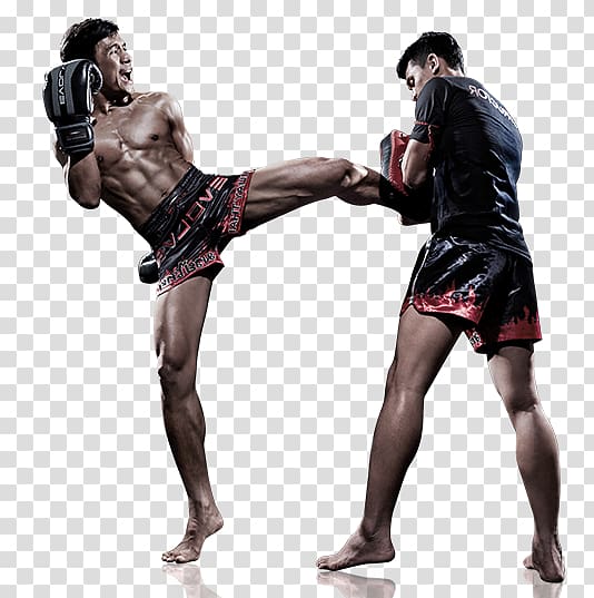 Pradal serey Kickboxing Boxing glove, Boxing transparent background PNG clipart