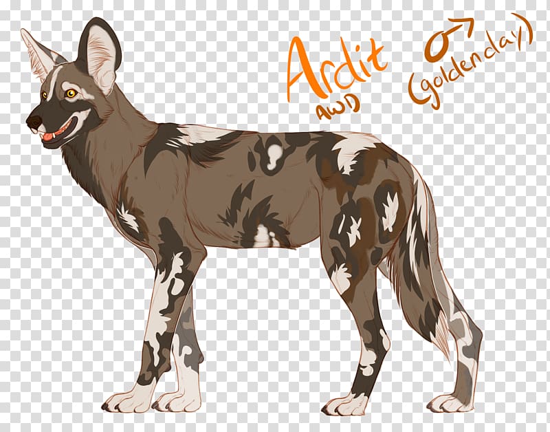 Dog breed Coyote Dhole Red wolf, Dog transparent background PNG clipart