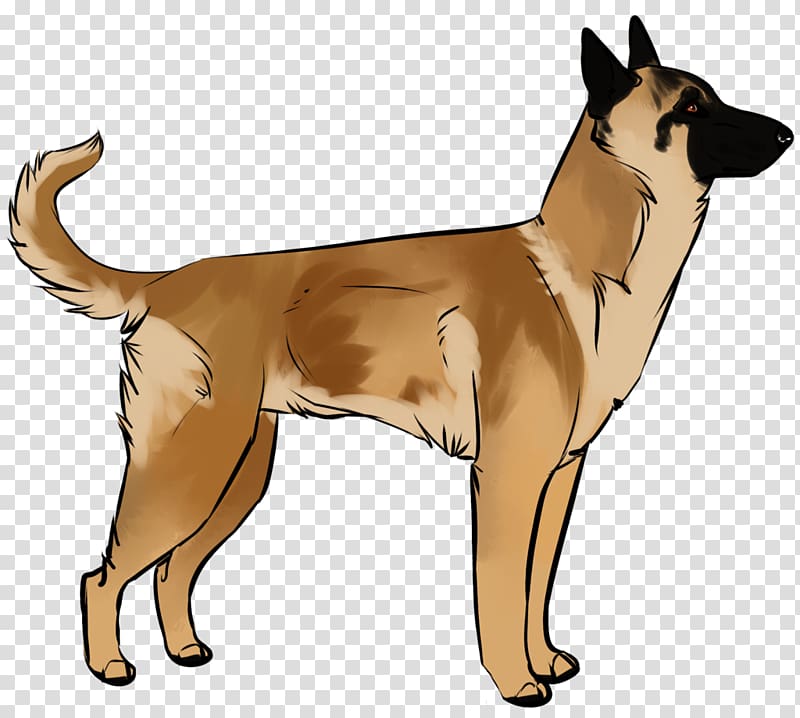 Dog breed Canaan Dog Norwegian Lundehund German Shepherd New Guinea singing dog, Cat transparent background PNG clipart