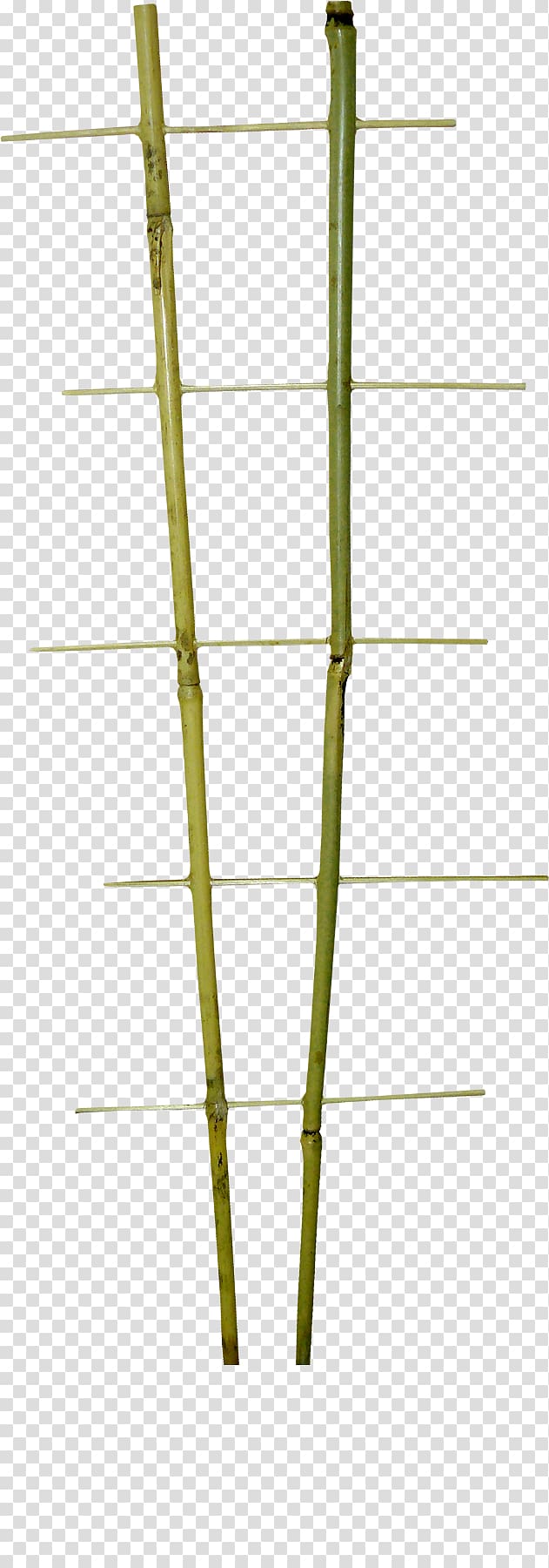 Bamboo Line Angle, littered transparent background PNG clipart