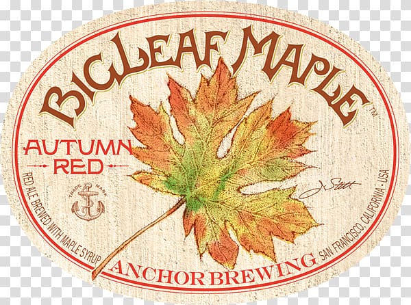 Anchor Brewing Company Beer Irish red ale Bigleaf maple, News anchor transparent background PNG clipart