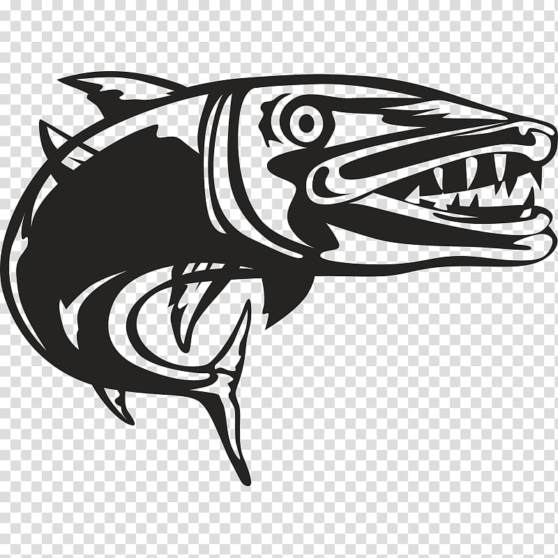 Great barracuda Drawing Illustration graphics, barracuda transparent background PNG clipart