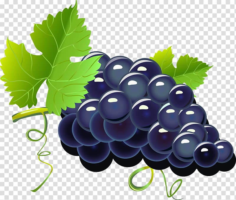 blue fruits with green leaves , Red Wine Grape Cartoon, Purple cartoon grapes transparent background PNG clipart