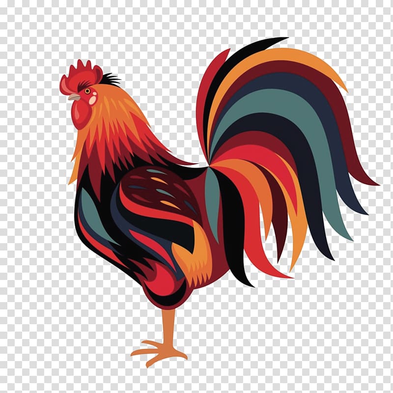 Wyandotte chicken Rooster Zazzle , Cartoon big tail Cock transparent background PNG clipart