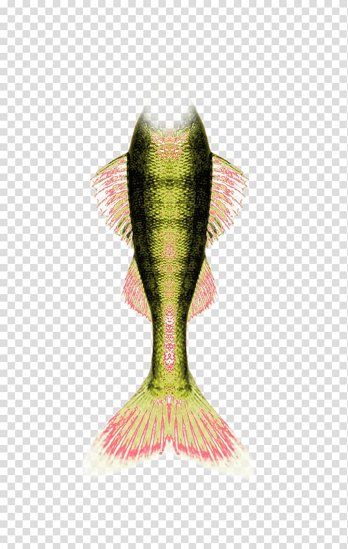 Mermaid Tail Yandex Search, Color modified mermaid tail transparent background PNG clipart