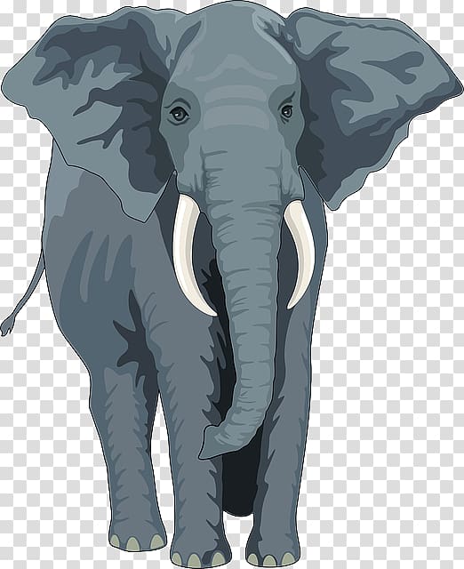 Asian elephant African elephant Elephantidae The Elephants , phone Icon Black And White transparent background PNG clipart