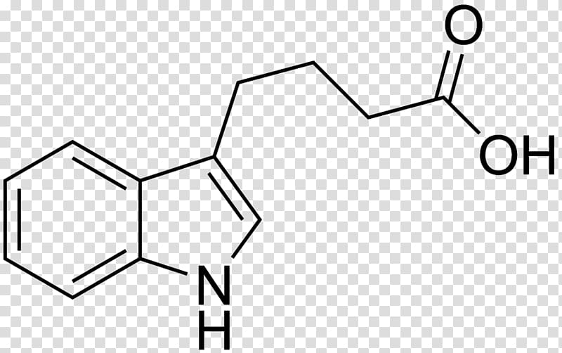 Indole-3-acetic acid Indole-3-butyric acid Auxin Plant hormone, others transparent background PNG clipart