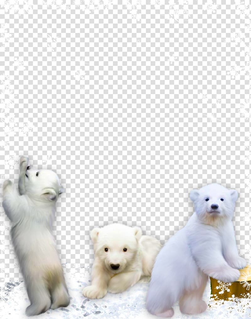 West Highland White Terrier Red panda Giant panda Bear Dog breed, Red panda play transparent background PNG clipart