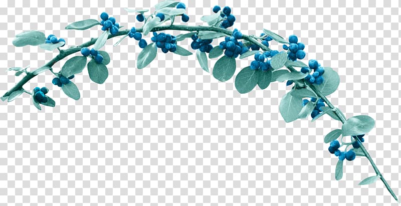 Flower Berry Blue , heavens transparent background PNG clipart