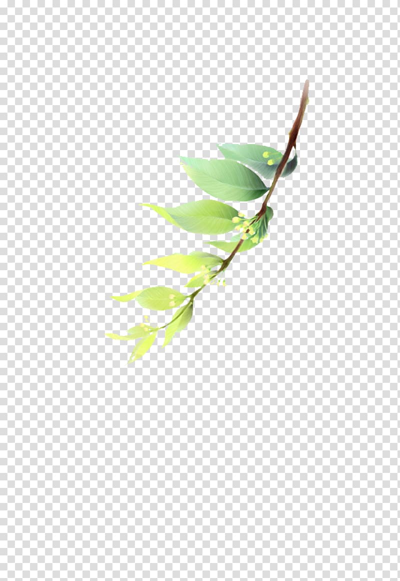Leaf Green Illustration, Green leaves material transparent background PNG clipart