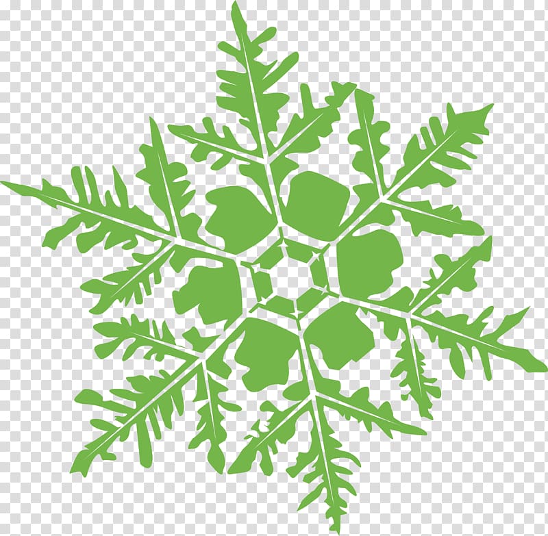 Leaf vegetable Plant stem Subshrub, snowflakes transparent background PNG clipart