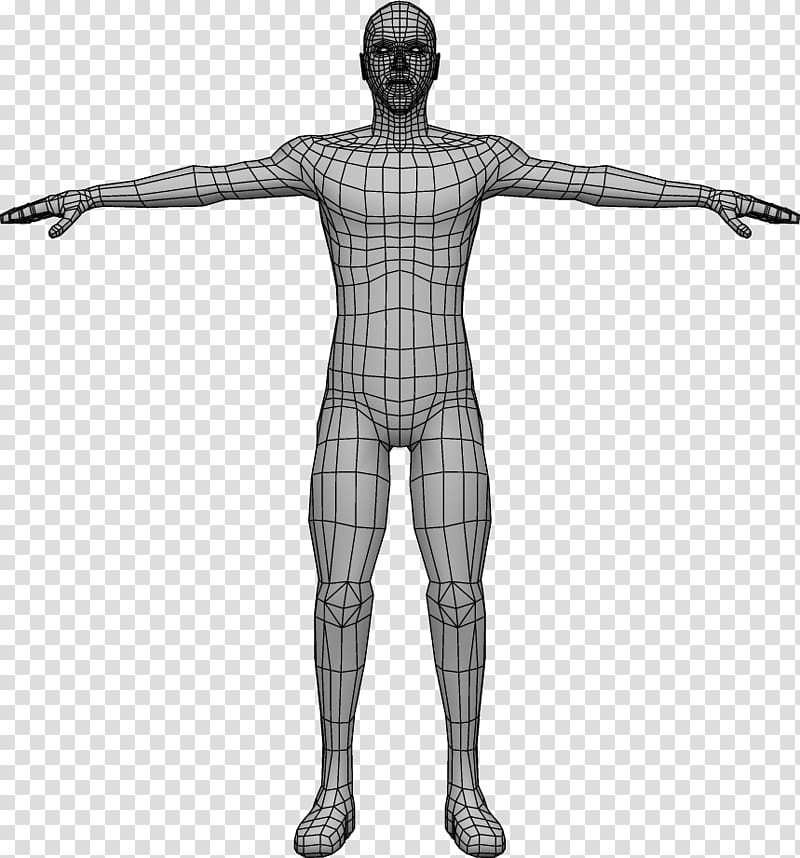 Shoulder Thorax Human leg Neck Human back, Human Body 3D transparent background PNG clipart
