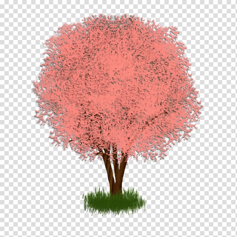 Tree Pink M, tree shade transparent background PNG clipart