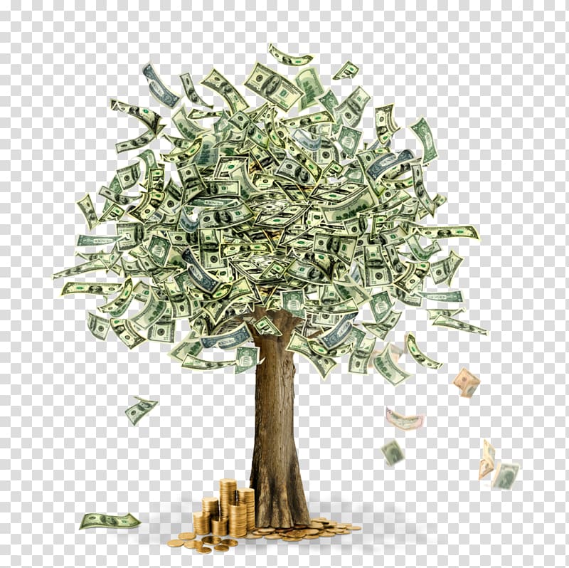 Money Guiana Chestnut Tree , Money flying transparent background PNG clipart