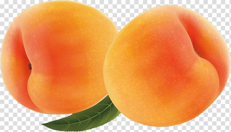 Apricot Food Fruit, apricot transparent background PNG clipart