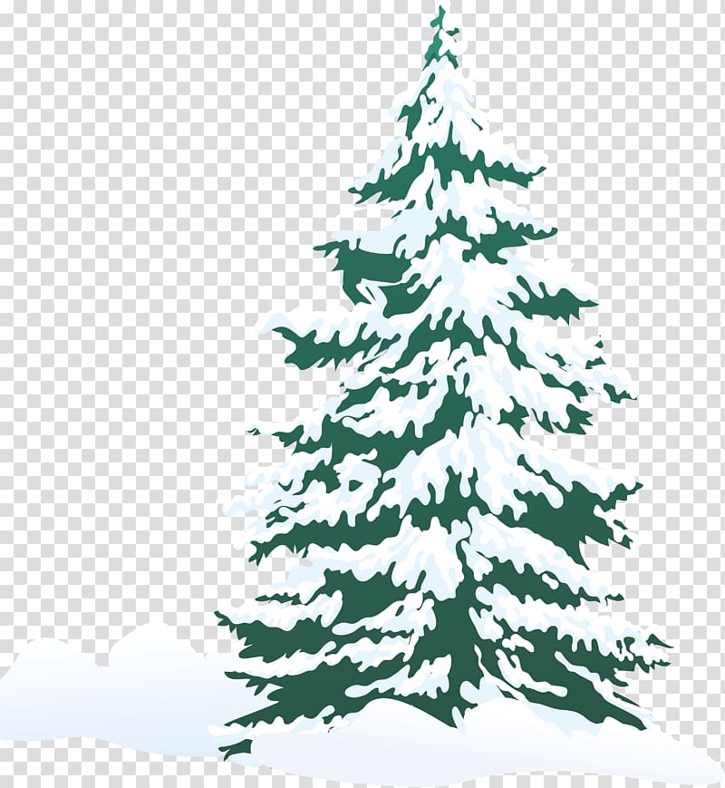 Pine Tree Snow , christmas tree transparent background PNG clipart