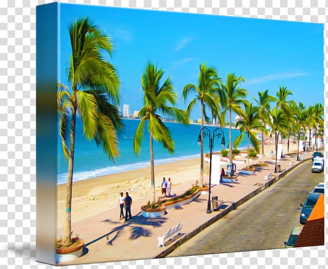Caribbean Arecaceae Vacation Leisure Beach, puerto vallarta transparent background PNG clipart