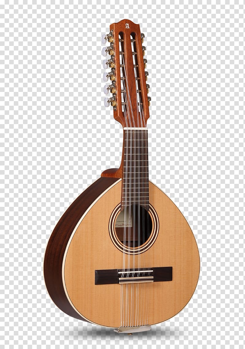 Bandurria Acoustic guitar Classical guitar Lute, classical rosette round transparent background PNG clipart