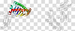 Brand Organ , design transparent background PNG clipart thumbnail