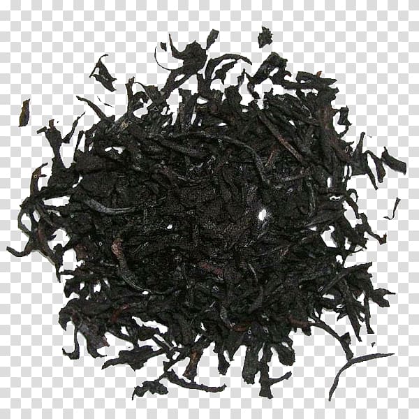 Earl Grey tea Green tea Nilgiri tea Golden Monkey tea, tea transparent background PNG clipart