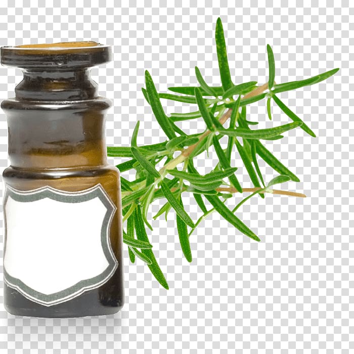 Essential oil Rosemary Peppermint Verbenone, oil transparent background PNG clipart