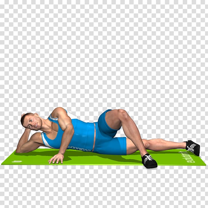 Adductor magnus muscle Adductor longus muscle Calf Thigh Human leg, Gamba transparent background PNG clipart