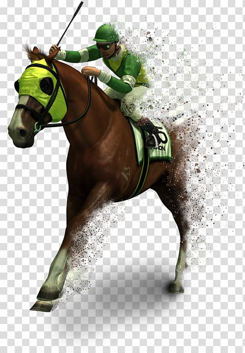 Horse racing Horse Games Racing video game, horse transparent background PNG clipart