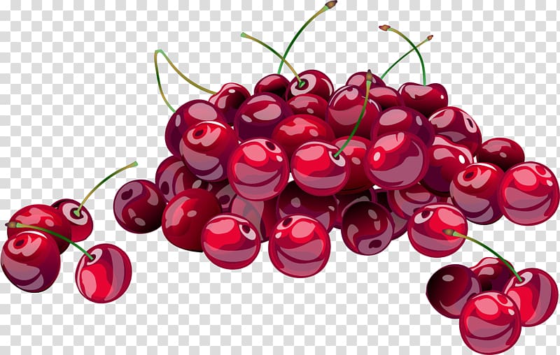 cherry , Cherry blossom Frutti di bosco, Cherry transparent background PNG clipart