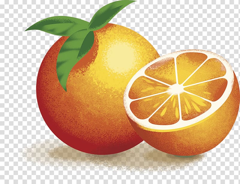 Blood orange Clementine Grapefruit Lemon Mandarin orange, grapefruit transparent background PNG clipart