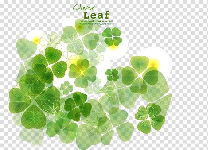Four-leaf clover, Clover transparent background PNG clipart