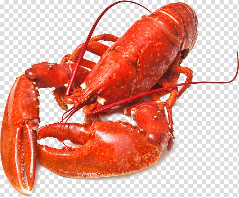 Lobster Seafood Barbecue, lobster transparent background PNG clipart