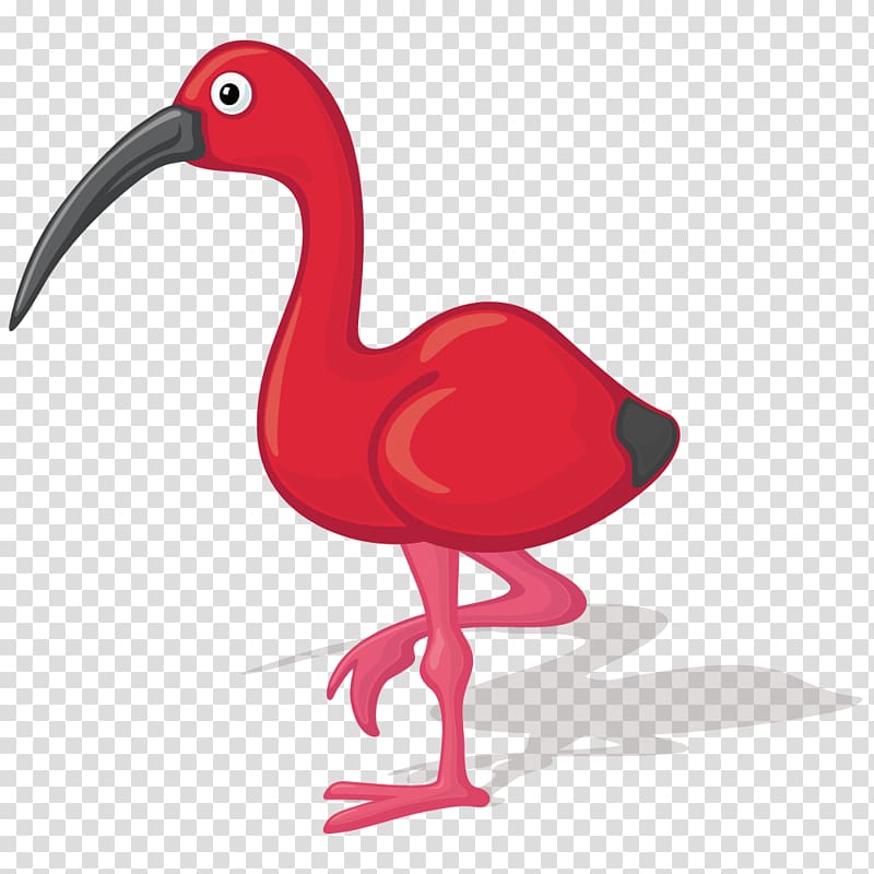 Bird Ibis Cartoon Illustration, Red flamingo transparent background PNG clipart