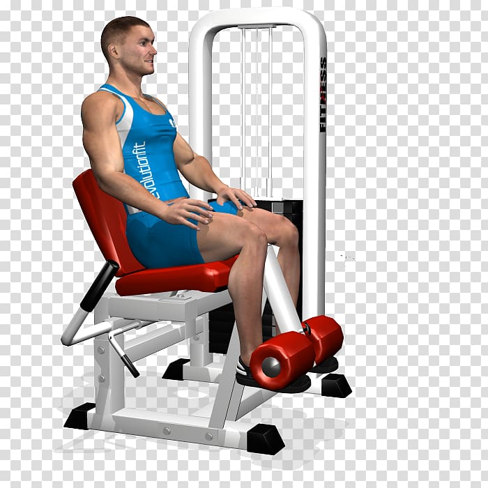 Leg extension Quadriceps femoris muscle Leg curl Exercise Human leg, gym equipment transparent background PNG clipart