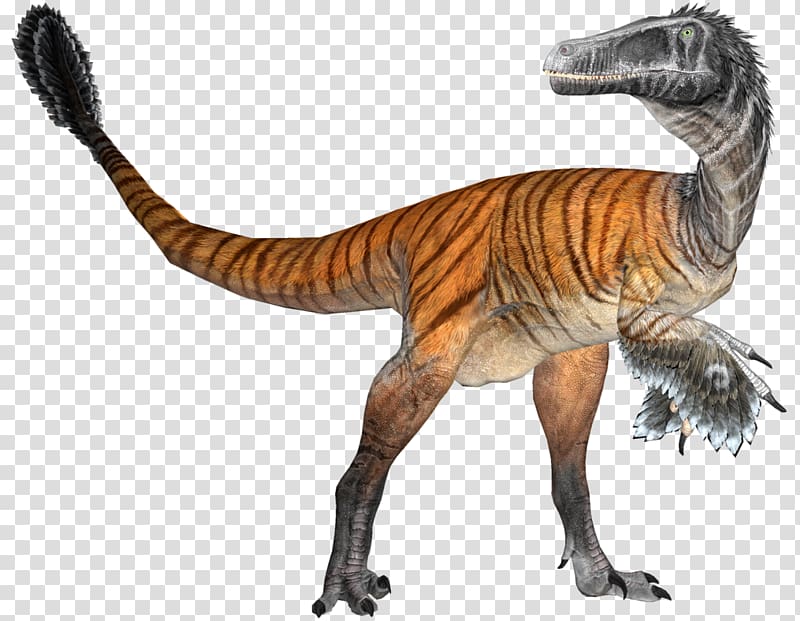 Velociraptor Tyrannosaurus Extinction Kaprosuchus Crocodylomorpha, dinosaur group transparent background PNG clipart