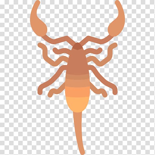 Animal Scorpion Computer Icons Wildlife, scorpio transparent background PNG clipart