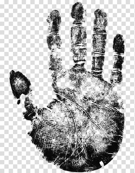 Hand Palmistry Arm Digit ratio Palm print, hand transparent background PNG clipart