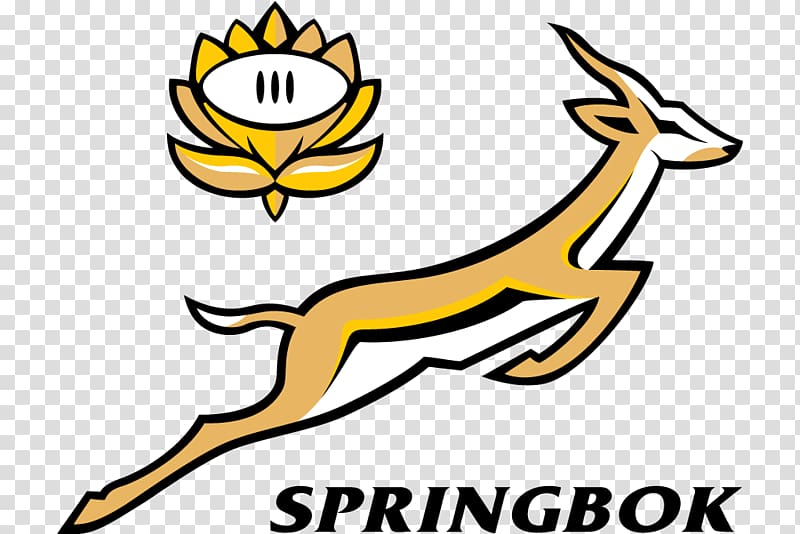 South Africa national rugby union team 2017 Rugby Championship Springbok New Zealand national rugby union team Australia national rugby union team, colorful transparent background PNG clipart