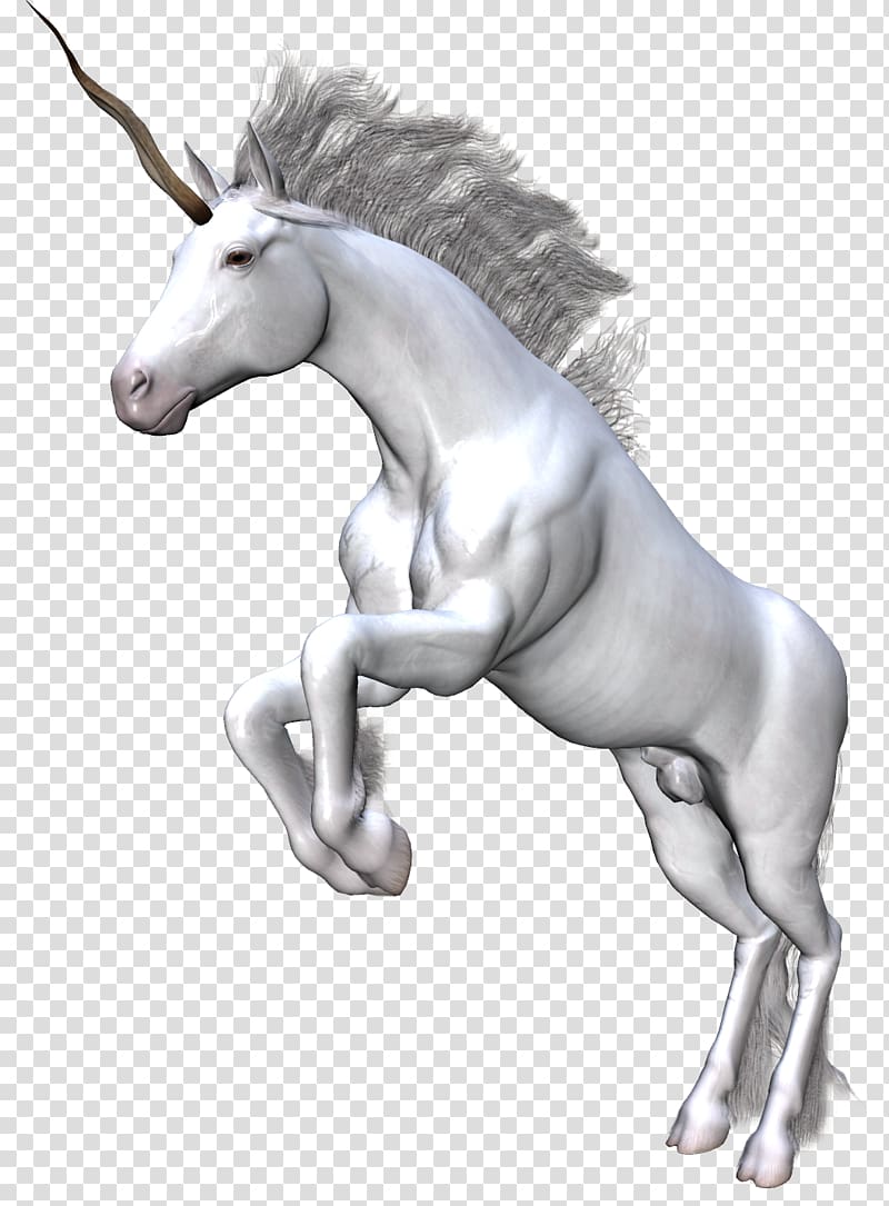 Unicorn Horse Fantasy , unicorns transparent background PNG clipart