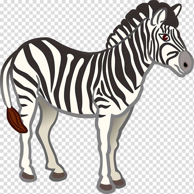 Zebra , Zebra transparent background PNG clipart