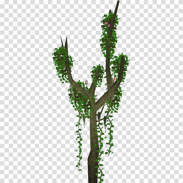 Zoo Tycoon 2 Tree Plant Branch Wiki, climbing transparent background PNG clipart