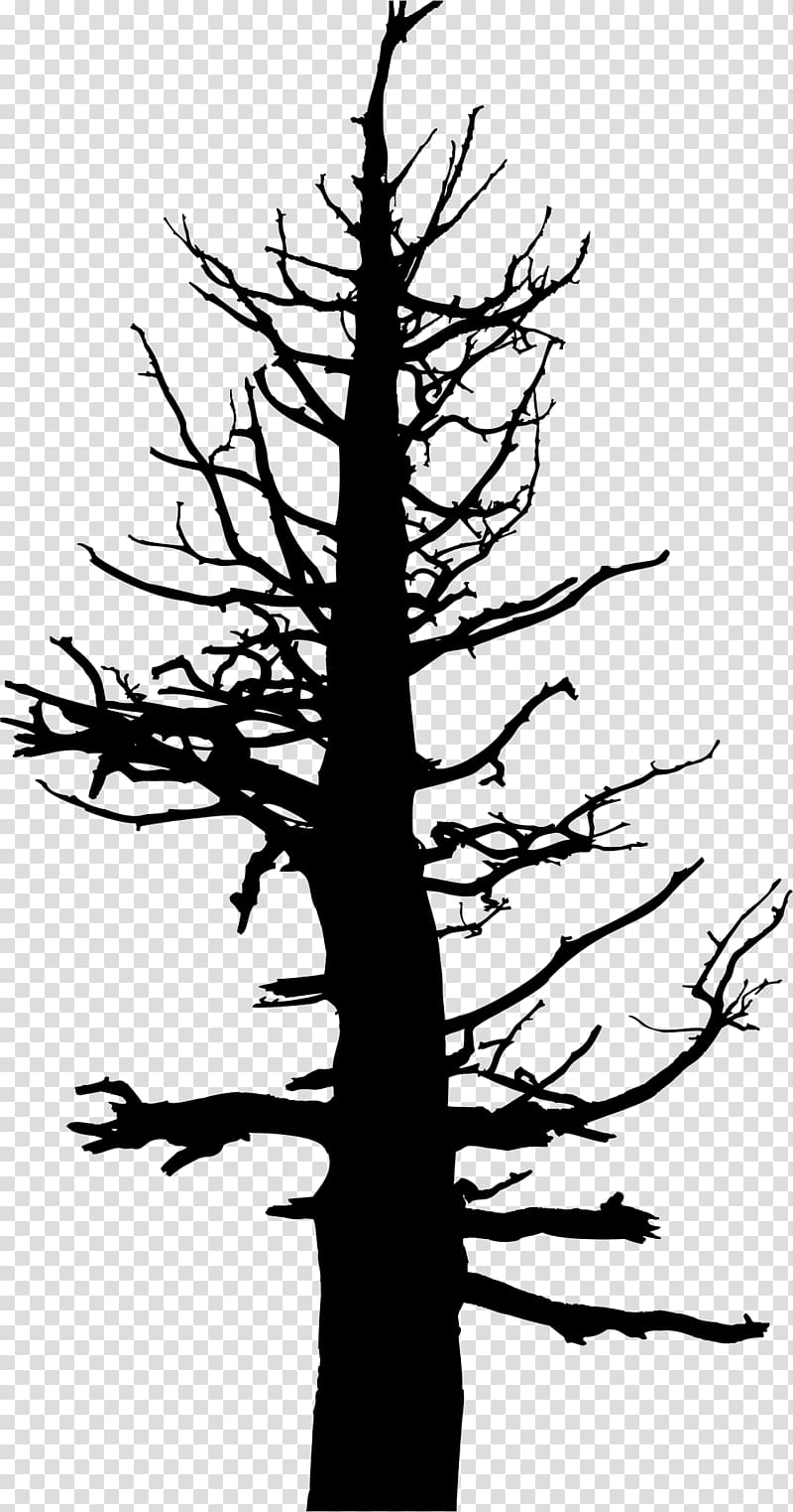 Tree Drawing Silhouette Snag , tree trunk transparent background PNG clipart