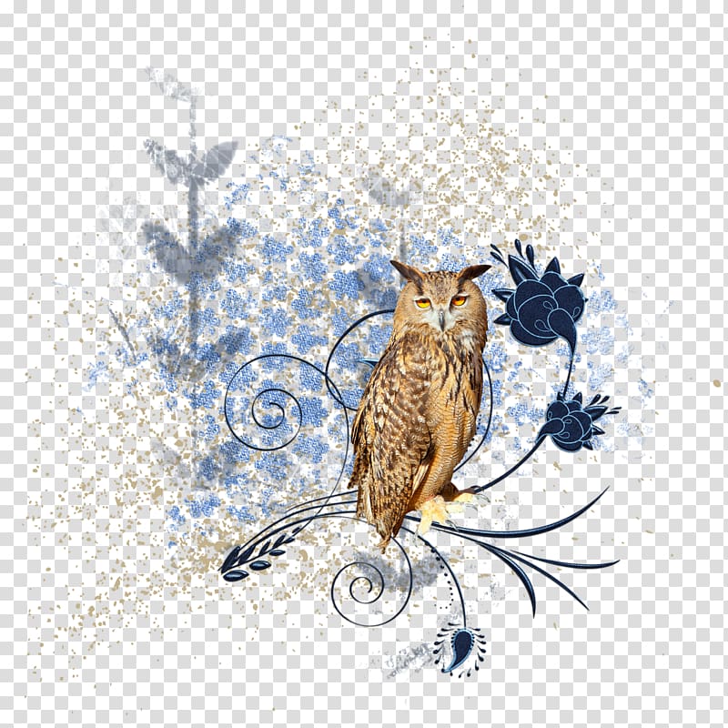 Colombe Bird, avenue transparent background PNG clipart