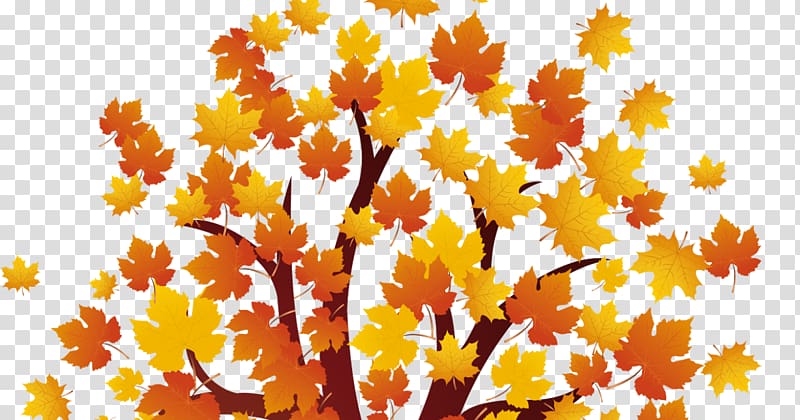 Autumn Red maple , harley sturgis transparent background PNG clipart