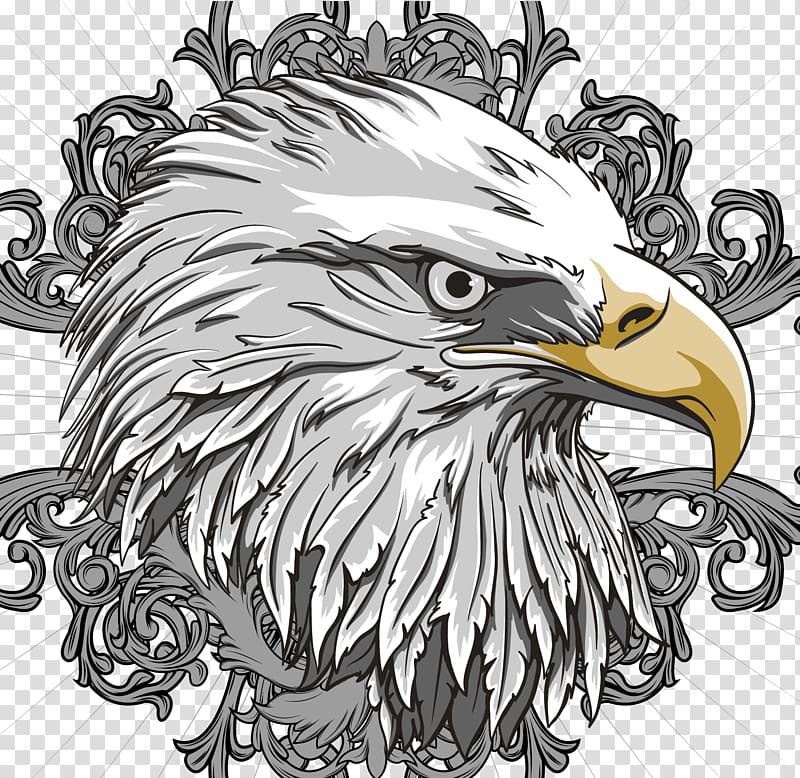 white and gray bird illustration, Bald Eagle Flag of the United States, Eagle transparent background PNG clipart