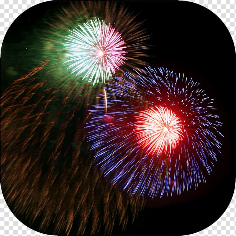 Fireworks Tokyo Bay , color fireworks display transparent background PNG clipart