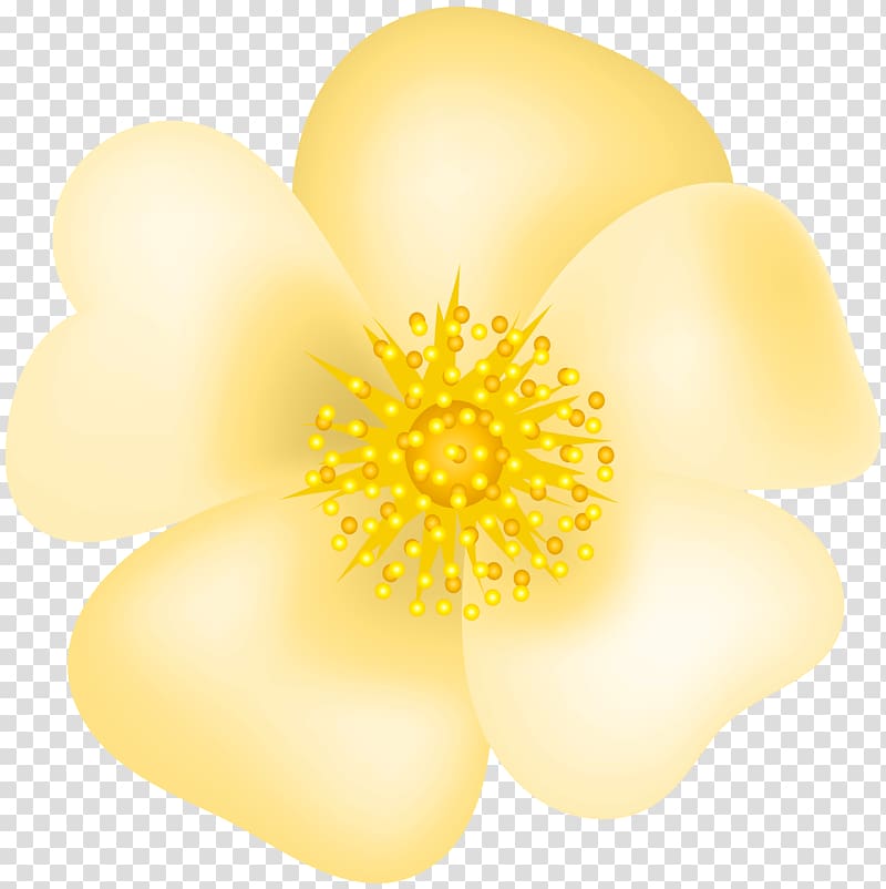 yellow flower illustration, Petal Yellow Commodity, Yellow Rose Blossom transparent background PNG clipart